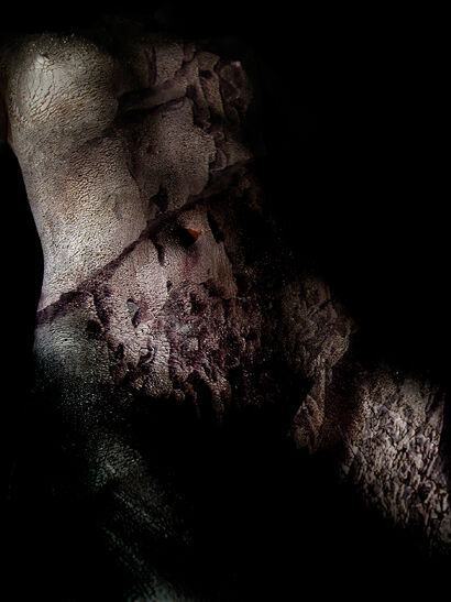 Surface Truth III - a Photographic Art Artowrk by Filip Sendal